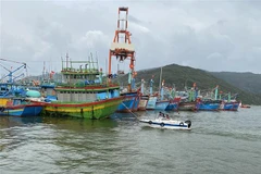 Tàu thuyền đánh cá. (Ảnh: Nguyên Linh/TTXVN)
