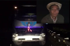 Đi ngược chiều trên cao tốc, tài xế bị phạt 17 triệu đồng