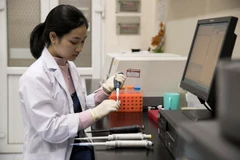 Cuộc thi nhằm thúc đẩy tinh thần học tập, nghiên cứu khoa học trong học sinh, sinh viên. (Ảnh: PV/Vietnam+)