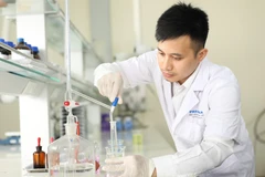 (Ảnh minh họa: PV/Vietnam+)