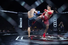 Võ sỹ Nguyễn Trần Duy Nhất đánh bại đối thủ Nguyễn Tiến Long tại sự kiện MMA Lion Championship 2022. (Ảnh: CTV/Vietnam+) 
