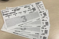Hình ảnh vé xem trận đấu Việt Nam với Malaysia. (Ảnh: PV/Vietnam+)