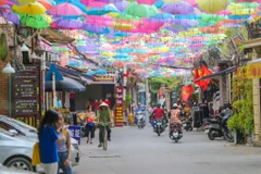 (Ảnh: Vietnam+)