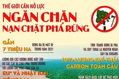 [Infographics] Thế giới cần nỗ lực ngăn chặn nạn chặt phá rừng