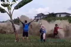 Sự thực về video thanh niên đấm bốc khi sóng thần ập tới tại Tonga