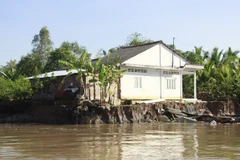 Vĩnh Long: Sạt lở bờ sông Cổ Chiên làm 13 căn nhà rơi xuống sông