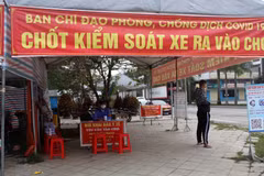 Cà Mau trở lại vùng xanh trước thềm Tết Nguyên đán Nhâm Dần