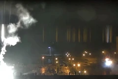 IAEA bày tỏ quan ngại về nhà máy điện hạt nhân Zaporizhzhia ở Ukraine