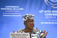 WTO hạ dự báo tăng trưởng thương mại toàn cầu do nguy cơ suy thoái