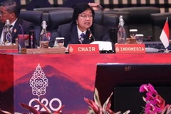 Indonesia kêu gọi các nước G20 chung tay cắt giảm khí thải