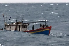 Kịp thời ứng cứu 7 thuyền viên tàu cá bị chìm ở vùng biển Thanh Hóa