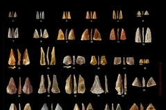 Người tinh khôn Homo sapiens xuất hiện ở châu Âu sớm hơn dự đoán