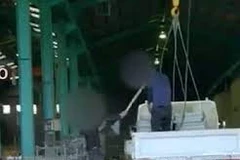 Nhật Bản rút giấy phép của công ty để xảy ra ngược đãi lao động Việt