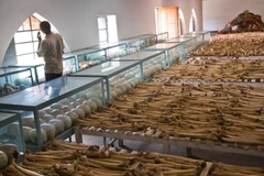 Hà Lan bắt giữ cựu sỹ quan Rwanda liên quan đến thảm họa diệt chủng