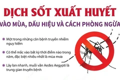 Dịch sốt xuất huyết vào mùa, dấu hiệu và cách phòng ngừa