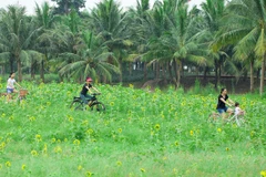 Khu đô thị Ecopark và hành trình bền bỉ kiến tạo “gia tài” xúc cảm