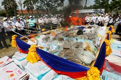 Cảnh sát Campuchia bắt giữ hơn 9.000 đối tượng buôn bán ma túy