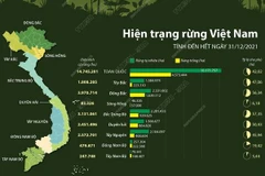 [Infographics] Việt Nam có hơn 14,7 triệu ha đất rừng năm 2021