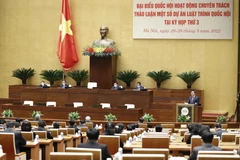 Quốc hội thảo luận về sở hữu trí tuệ, có liên quan Quốc kỳ, Quốc ca