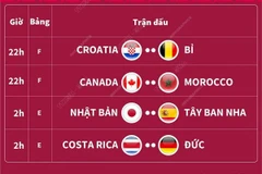 Lịch thi đấu và trực tiếp World Cup tối 1/12 và rạng sáng 2/12
