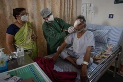 Mức độ nguy hiểm của nấm đen - loại bệnh truyền nhiễm mới nổi