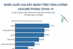 Đà Nẵng có thể đạt đỉnh dịch vào những ngày giáp Tết Nguyên đán