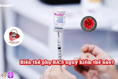 [Audio] Sự nguy hiểm của biến thể phụ BA.5 - kẻ lẩn trốn hệ miễn dịch