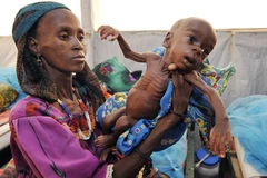 Niger ghi nhận 2 triệu người mất an ninh lương thực trầm trọng