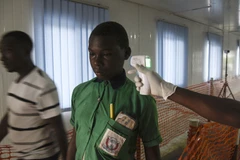 Uganda tiếp nhận 1.200 liều vaccine ngừa virus Ebola thử nghiệm từ WHO