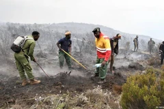 Cháy lớn trên đỉnh núi Kilimanjaro - nóc nhà của châu Phi