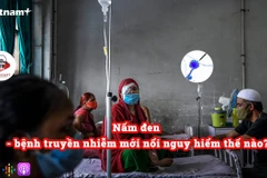 [Audio] Nấm đen - bệnh truyền nhiễm mới nổi nguy hiểm thế nào?