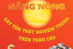 [Infographics] Nắng nóng gây tổn thất nghiêm trọng trên toàn cầu