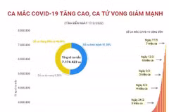[Infographics] Việt Nam ghi nhận trên 7 triệu ca mắc COVID-19