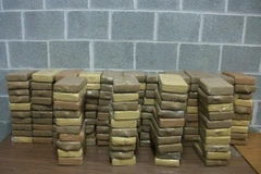 Hải quan Bỉ thu giữ hơn 38 tấn ma túy trong nửa đầu năm 2022