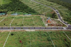 Bình Phước tạm dừng tách thửa đất nông nghiệp để ngăn phân lô bán nền