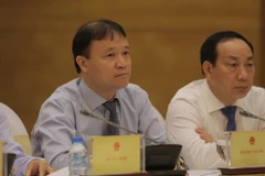 (Ảnh: PV/Vietnam+)