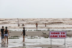 Do ảnh hưởng của cơn bão số 2, nhiều khu vực ven biển đã ra lệnh cấm tắm thế nhưng, chiều 16/7 tại bãi biển Cồn Vành (Thái Bình), vẫn rất đông người dân đổ xô đi bơi lội. (Ảnh: Minh Sơn/Vietnam+)