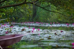 Những ai từng đến chùa Hương (Mỹ Đức, Hà Nội) chắc hẳn sẽ biết đến suối Yến, một nơi có cảnh sắc đẹp với hàng đoàn người lái đò chậm rãi chèo thuyền gọi nhau í ới, đông nghịt trong những mùa lễ hội. (Ảnh: Minh Sơn/Vietnam+)