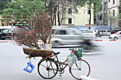 (Ảnh: Quỳnh Chi/Vietnam+)