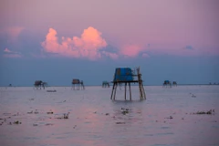 Được mệnh danh là 'quê hương năm tấn' nhưng Thái Bình không chỉ có những cánh đồng lúa bạt ngàn mà còn có nhiều bãi biển hoang sơ tuyệt đẹp như Đồng Châu. (Ảnh: Minh Sơn/Vietnam+) 