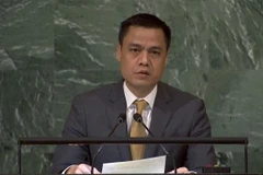 Đại sứ Đặng Hoàng Giang, Trưởng Phái đoàn Việt Nam tại Liên hợp quốc, phát biểu tại một phiên họp. (Ảnh: TTXVN phát)