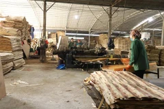 Xưởng chế biến gỗ bóc của Công ty Cổ phần Yên Thành (thị trấn Yên Bình, huyện Yên Bình). (Ảnh: Tiến Khánh/TTXVN)