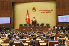 Quốc hội biểu quyết thông qua Nghị quyết về thí điểm đấu giá biển số xe ôtô. (Ảnh: Doãn Tấn/TTXVN)