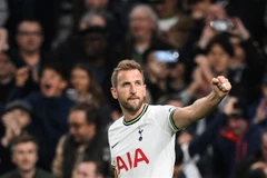 Tiền đạo Harry Kane của câu lạc bộ Tottenham Hotspur ăn mừng bàn thắng trong trận gặp Everton tại Giải Ngoại hạng Anh ở London, ngày 15/10. (Ảnh: AFP/TTXVN)