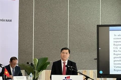 Ông Nguyễn Công Vinh, Phó Chủ tịch UBND tỉnh Bà Rịa-Vũng Tàu phát biểu tại Hội thảo. (Ảnh: Hoàng Nhị/TTXVN)