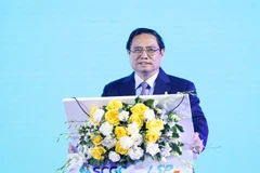 Hoạt động bốc dỡ hàng hóa tại Cảng Tân Cảng-Cái Mép (TCCT), thị xã Phú Mỹ. (Ảnh minh họa: TTXVN phát)