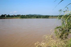 Nhiều diện tích đất bãi bồi ven bờ sông Mã đoạn qua xã Cẩm Vân, huyện Cẩm Thủy, tỉnh Thanh Hóa bị sạt lở. (Ảnh: Nguyễn Nam/TTXVN)
