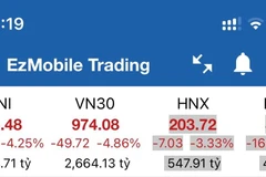 Nhà đầu tư theo dõi diễn biến thị trường. (Ảnh minh họa: Hứa Chung/TTXVN)