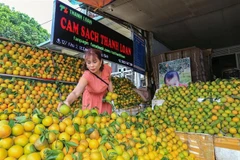 Sản phẩm cam Cao Phong. (Ảnh minh họa: Trọng Đạt/TTXVN)