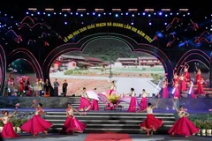Chương trình nghệ thuật tại Lễ khai mạc Lễ hội hoa Tam Giác Mạch lần thứ 8. (Ảnh: Nam Thái/TTXVN)